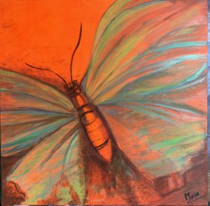 Papillon Fluo